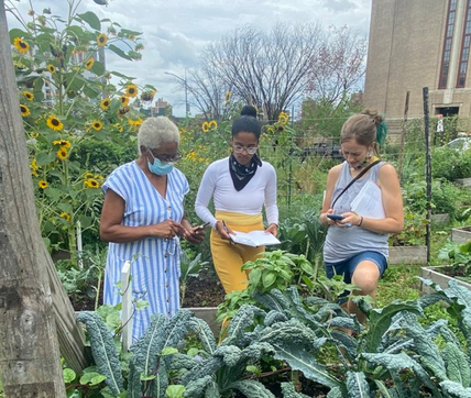 2% for Farm School NYC