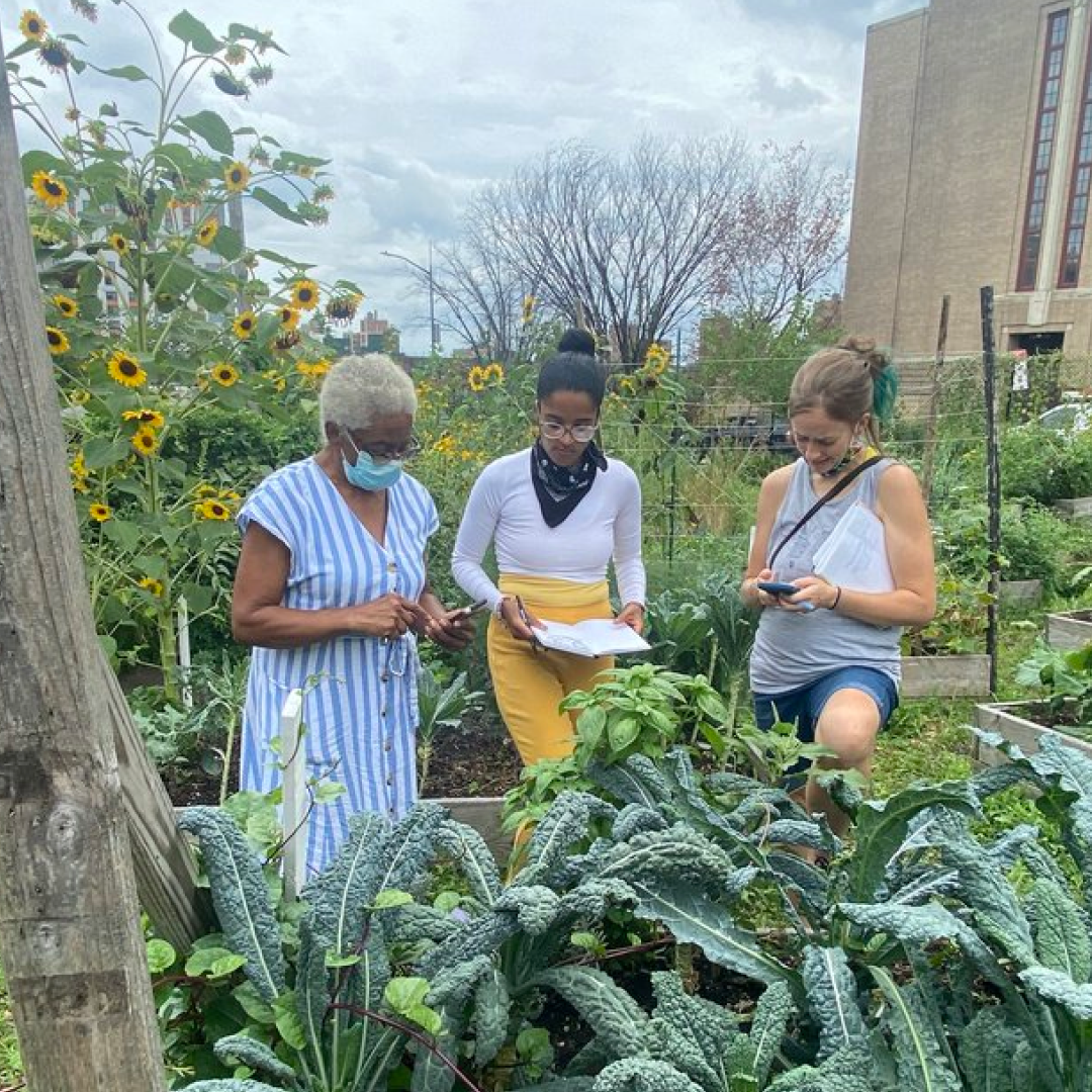 2% for Farm School NYC