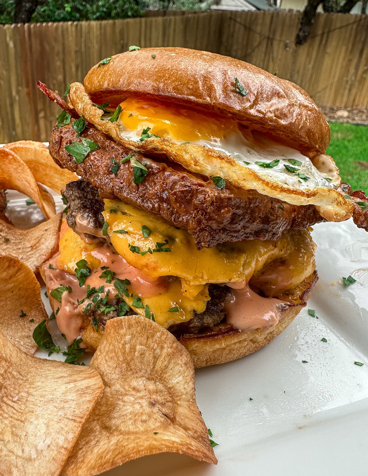 Queso Frito Smash Burger