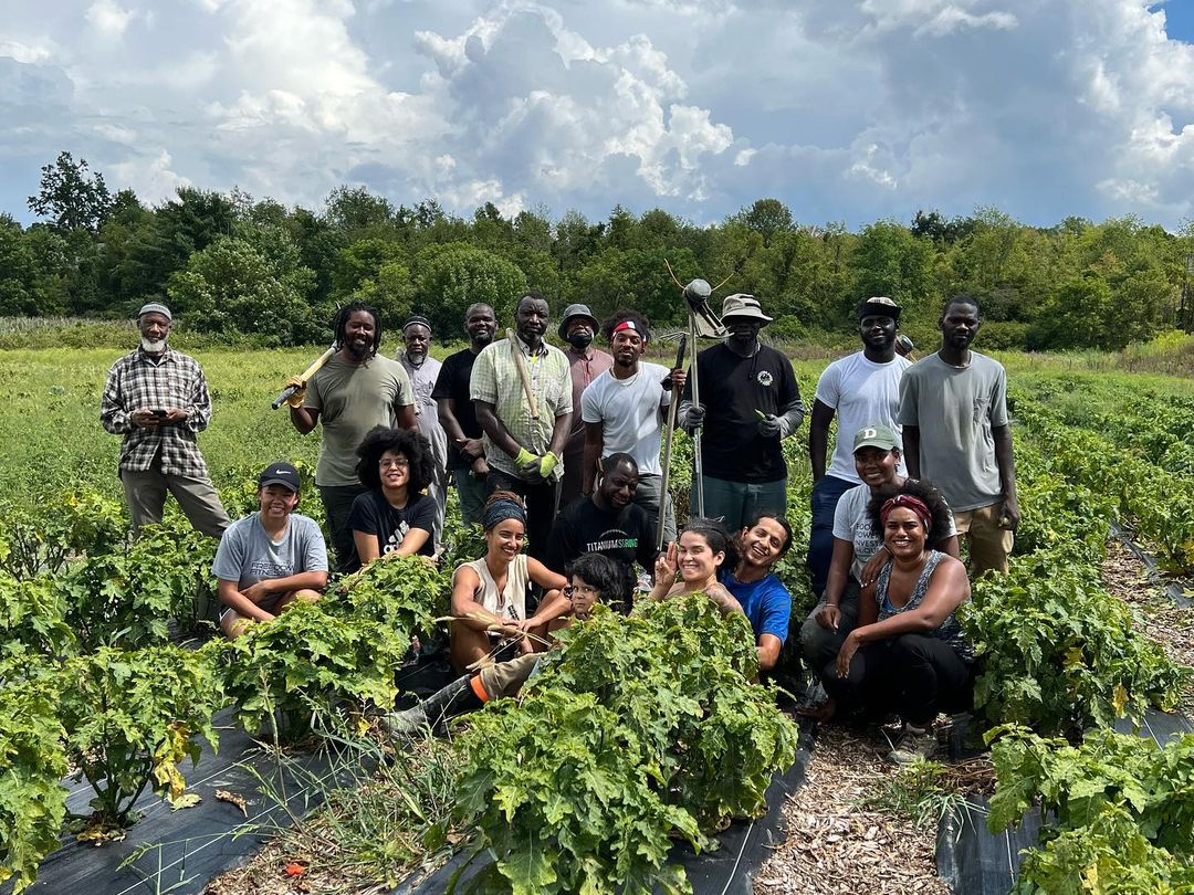 2% for Black Farmer Fund